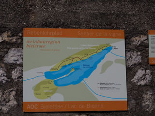 Rebenweg Bielersee
