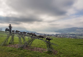 Eichberg Hallwilersee