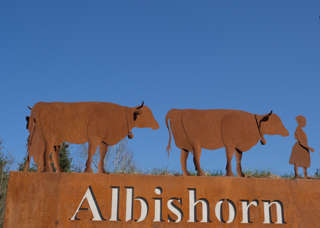 Albishorn