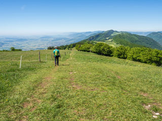 Weissenstein