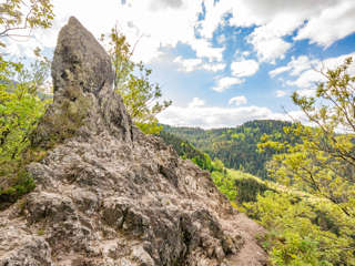 Der Karlsruher Grat - Geniesserpfad im Schwarzwald