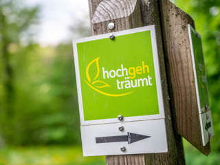 Hochgehträumt