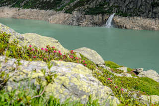 Göscheneralpsee