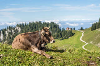 Von der Klewenalp auf den Schwalmis