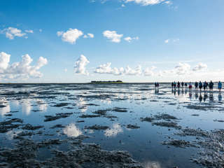 Wattwanderung Hallig Oland