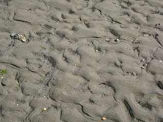 Sandwatt