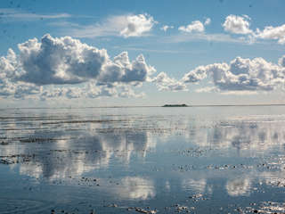 Spiegelung Watt Hallig Oland