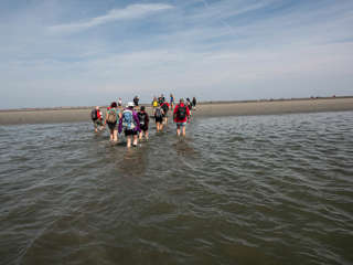 Watttwanderung Priel