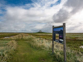 Wandern zur Hamburger Hallig