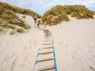 Amrum Dünen