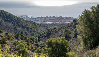 Mirador de la Cañada del Lobo