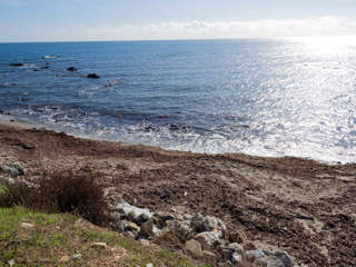 Senda Litoral