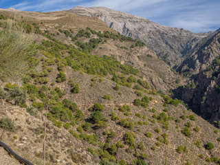 La Maroma