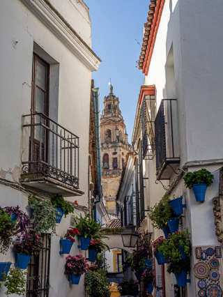 Calleja de las Flores in Córdoba