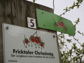 Fricktaler Chriesiwäg