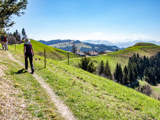 Napf Emmental