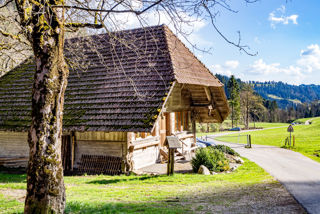 Napf Mettlenalp