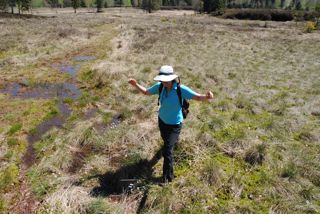 Hochmoor