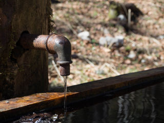 Fontaine Froide