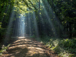 Aargau wandern Wanderungen Wanderwege