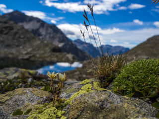 Passo del Laghetto