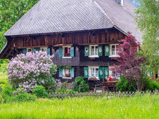 Menzenschwand