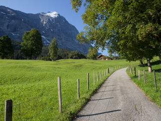 Eiger Trail