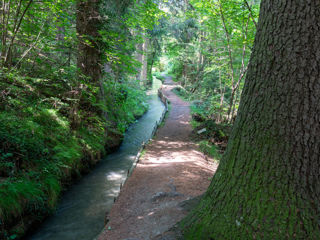 Grand Bisse de Lens
