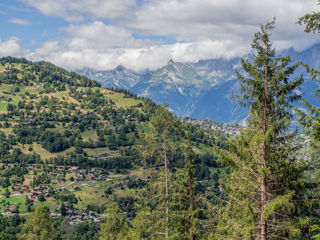Bisse de Vex