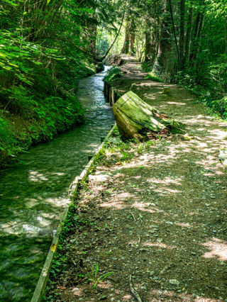 Grand Bisse de Lens