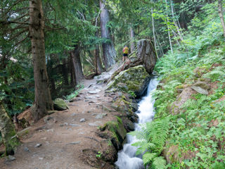 Bisse de Vieux