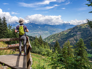 Bisse de Vieux