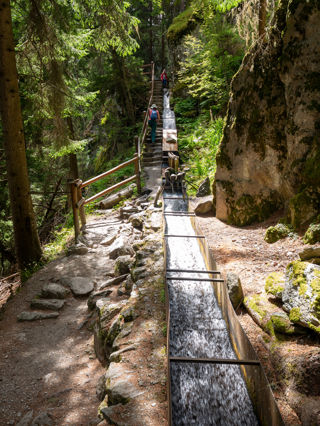 Bisse de Vieux