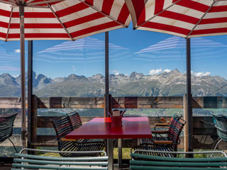 Alp Languard