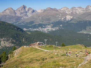 Alp Languard