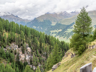 Alp Arpiglia