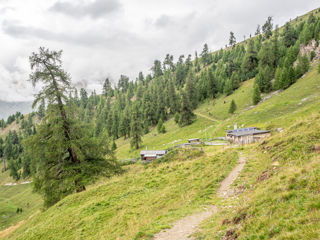 Alp Arpiglia