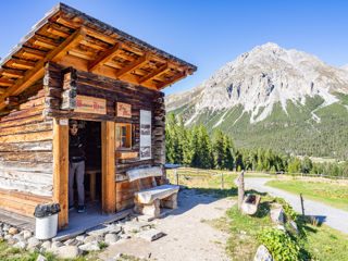 Alp Buffalora