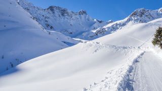 Winterwandern Arosa: vom Schwellisee durch den Arlenwald