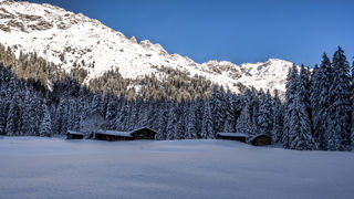 Winterwanderung Klosters Platz - Alp Garfiun