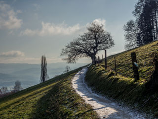 Wanderung Wabern - Gurten - Kehrsatz