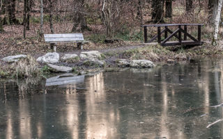 Wanderung Zürichberg - Lorenchopf - Elefantenbach