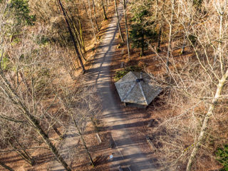 Wanderung Zürichberg - Lorenchopf - Elefantenbach
