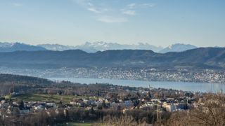Wanderung Zürichberg - Lorenchopf - Elefantenbach