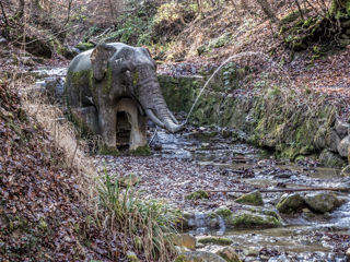 Wanderung Zürichberg - Lorenchopf - Elefantenbach
