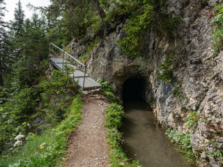 Bisse de Sion