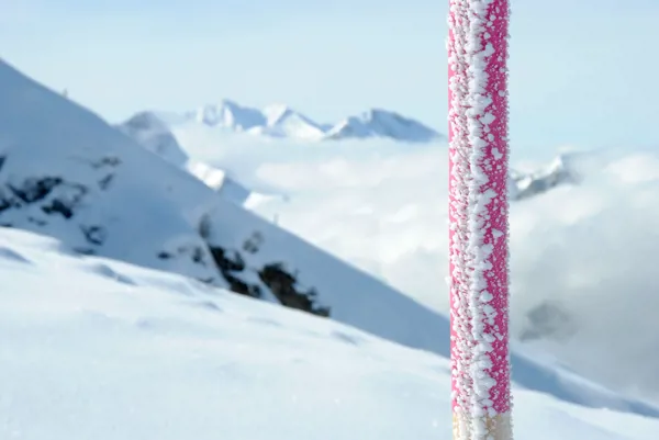 Schneeschuhwandern auf dem Stoos: Fronalpstock
