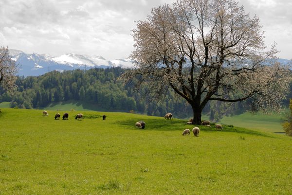 Der Bachtel inklusive Abenteuer im Bachtelspalt