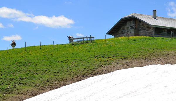 Wanderung auf den Garten (Berner Oberland)