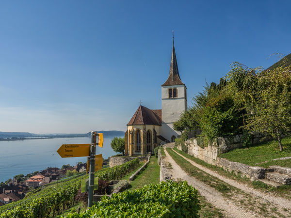 Wandern in den Weinbergen der Schweiz